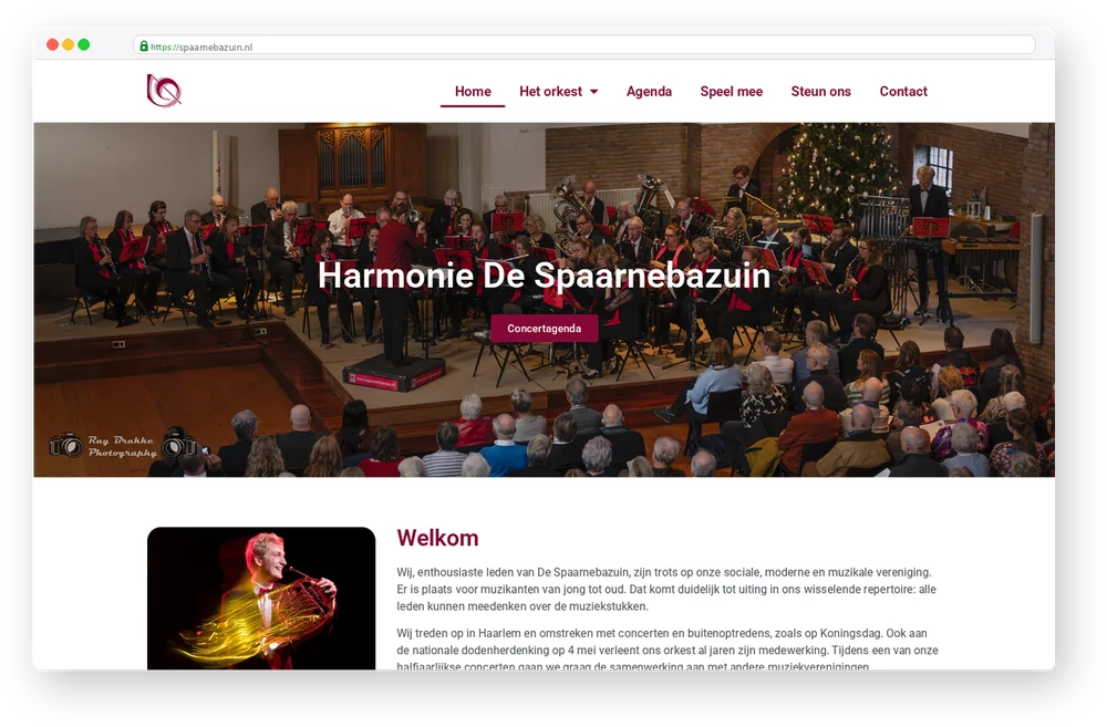 De Spaarnebazuin