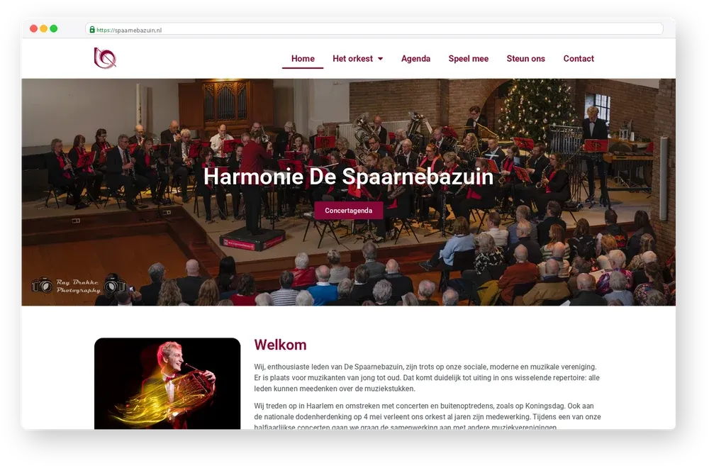 De Spaarnebazuin