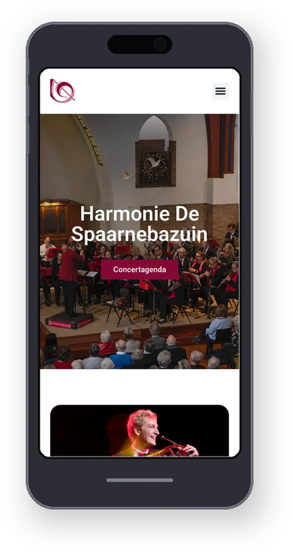 Screenshot van De Spaarnebazuin