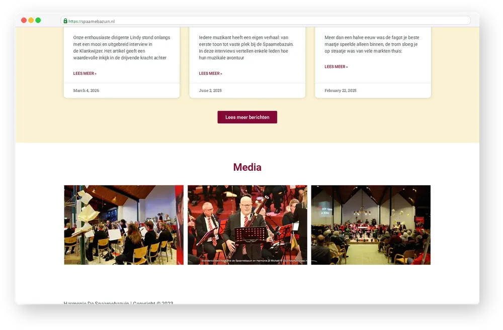 Screenshot van De Spaarnebazuin