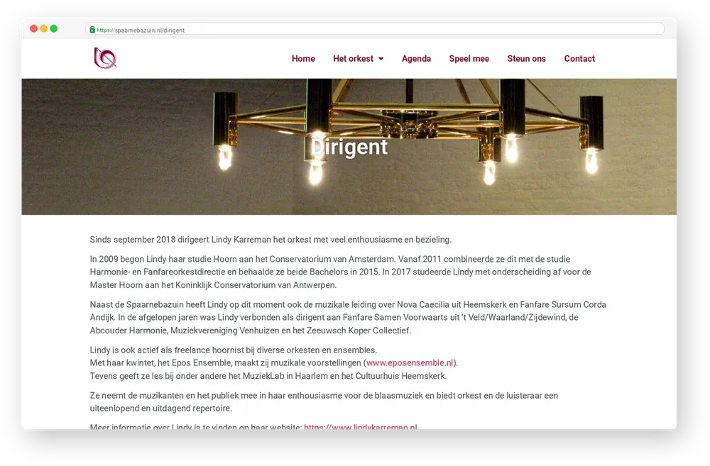 Screenshot van De Spaarnebazuin