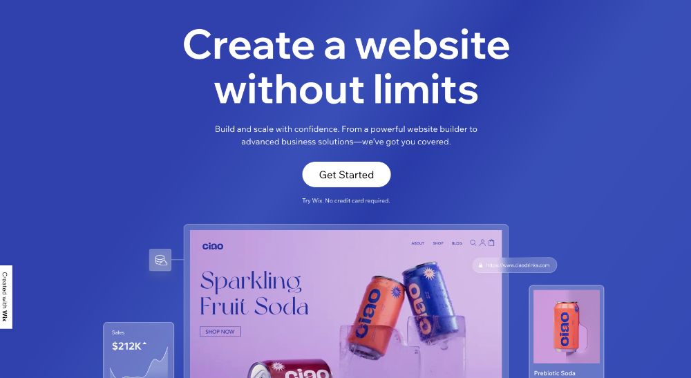 WordPress vs Wix website