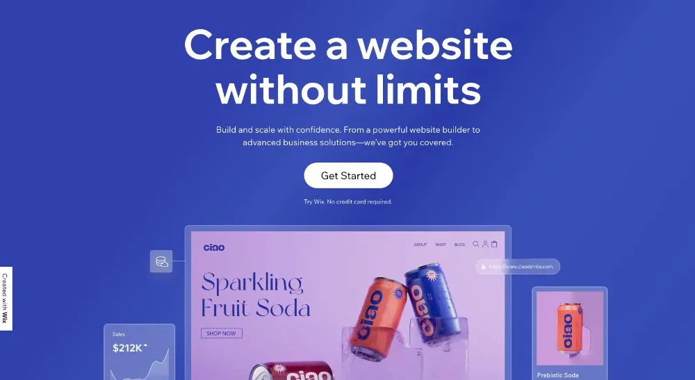 WordPress vs Wix website